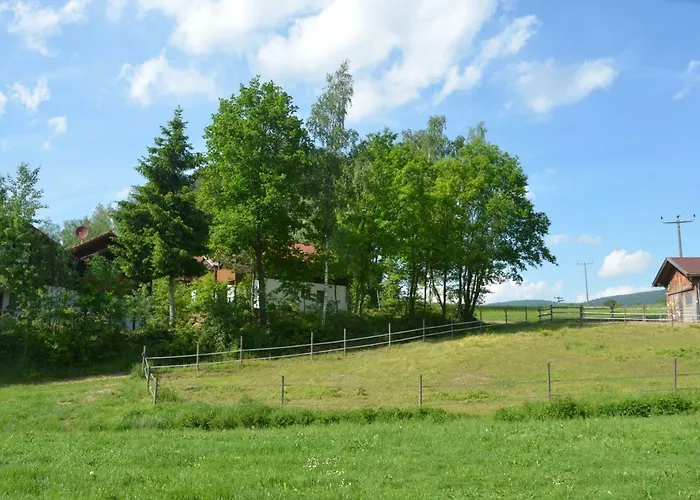 Wildgatter Grafenwiesen